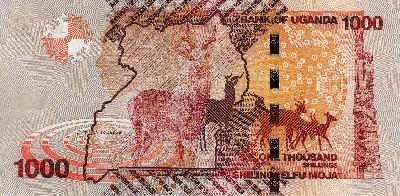 Beschrijving voorzijde: HUT